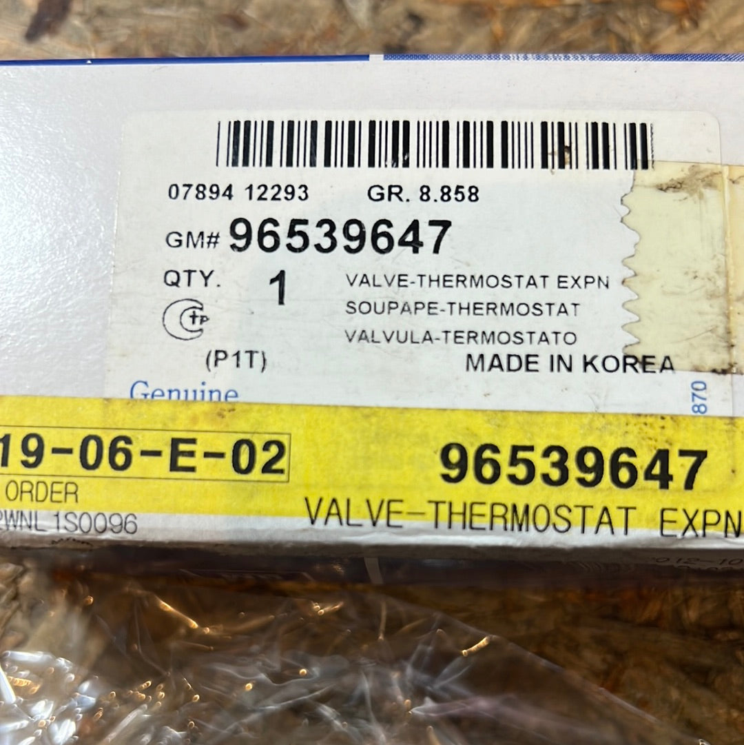 Original GM Chevrolet Expansionsventil Aveo S NEU 96539647