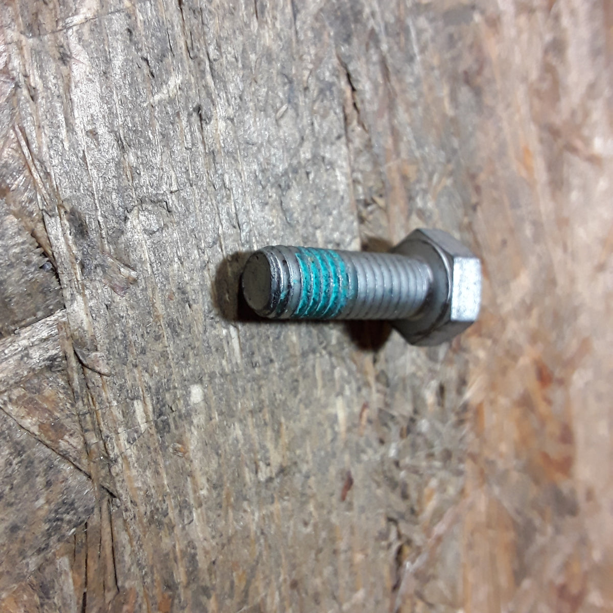 Omega B Vivaro B Schraube Bremssattel original GM Opel NEU