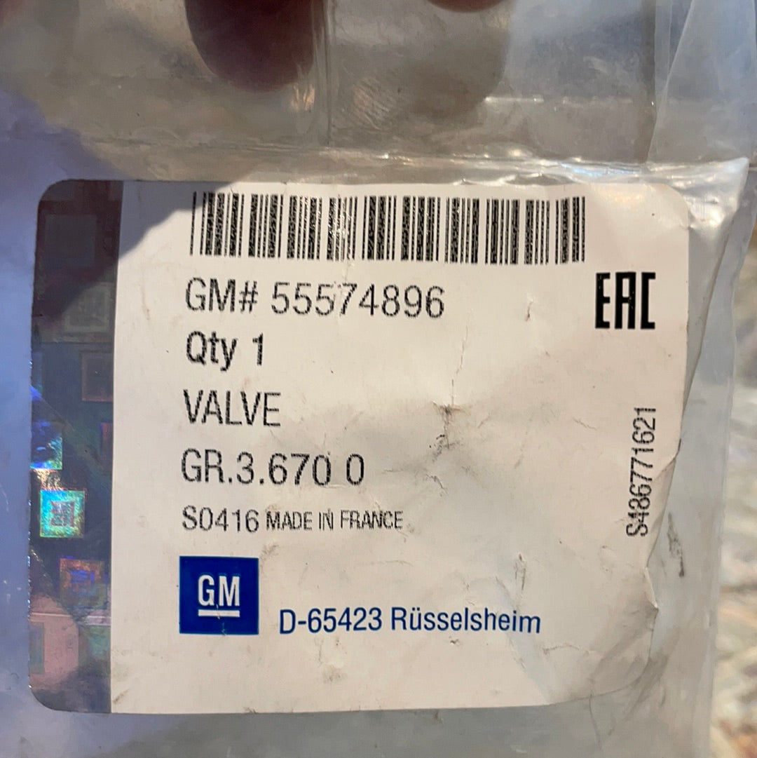 Original GM Opel Antara Astra J/K Insignia Meriva Mokka Zafira Druckwandler Abgassteuerung Neu