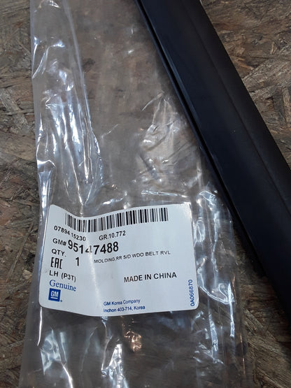 Chevrolet Sonic Bj 12-18 Fensterschachtleiste Türe hinten links original GM NEU