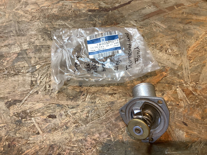 Omega B Motoren: 20SE[L96], X20SE[L96] Thermostat und Flansch Original GM NEU
