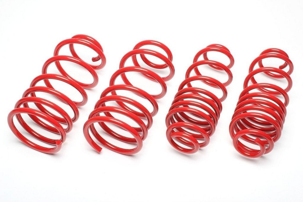 TA Technix Federn passend für Fiat Punto 1.2-1.4l+1.3JTD Typ 188 50/40mm