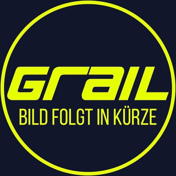 GRAIL Klappenabgasanlage | ECE | passend für Audi S4 (B8/B8.5)