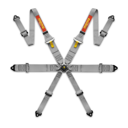 SICHERHEITSGURT PRO DRIVER 6P 2"/3" FHR-Grau