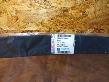 Astra J Schutzzierleiste Frontscheibe original GM NEU