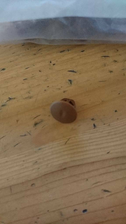 Opel Youngtimer Oldtimer Abdeckung Clip neu original 2240556