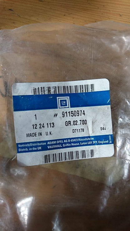 Frontera A Kennzeichenleuchte neu original GM