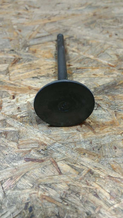 Original GM Opel Corsa B Vectra B Einlassventil NEU