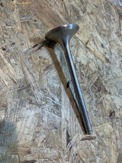 Omega A Frontera A Einlassventil Original GM Opel Neu