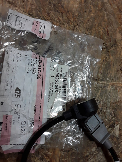 Opel Antara Kia Shuna Chevrolet Captiva Klopfsensor original GM Opel NEU