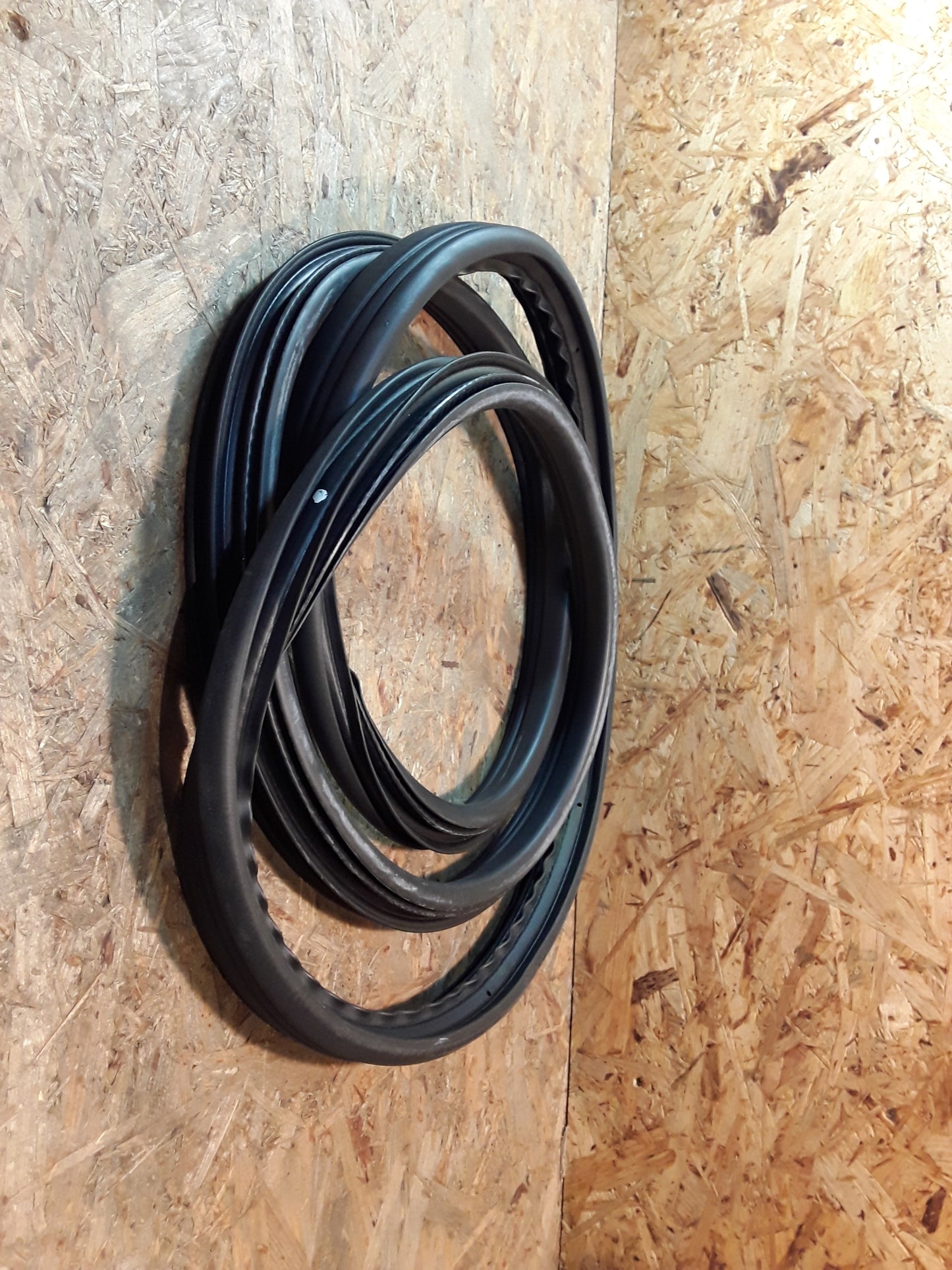 Vectra B Gummiabdichtung Hintertüre links original GM Opel NEU