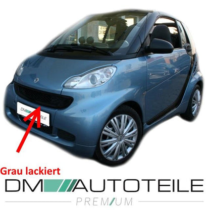 Smart Fortwo 451 Gitterrahmen Kühlerrahmen Lackiert Grau PREMIUM ABS Bj. 07-12