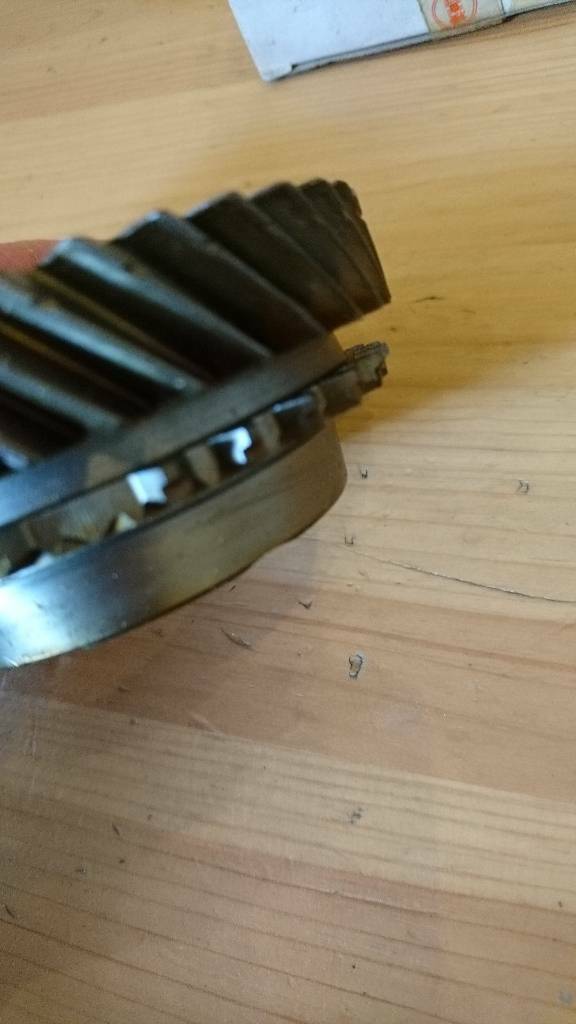 Kadett E Zahnrad Getriebe 3. Gang F16 neu original GM