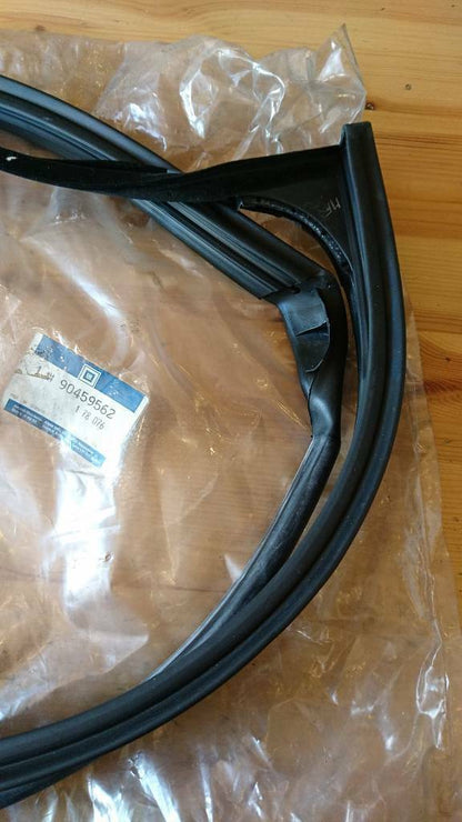 Opel Omega B Fensterdichtung vorne rechts neu original GM