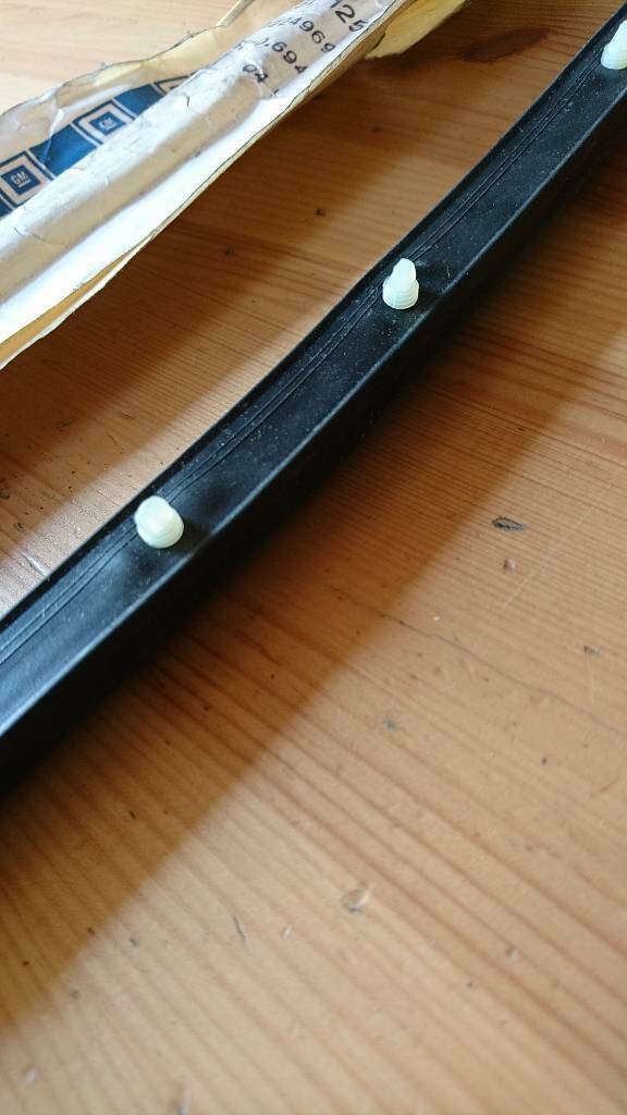 Omega A Senator B Gummidichtung Vordertür Neu Original GM