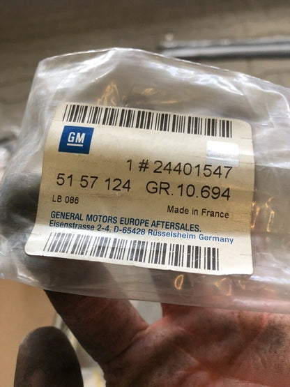Opel Vectra C Signum Tür Dichtung NEU Original GM