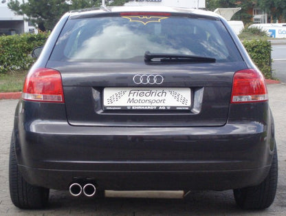 Friedrich Motorsport Gr.A Anlage  Audi A3 8P Frontantrieb