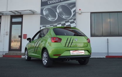 Friedrich Motorsport Gr.A Anlage Seat Ibiza 6J