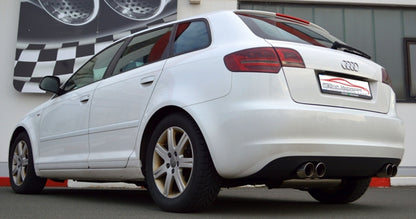 Friedrich Motorsport Gr.A Duplexanlage Audi A3 8P Sportback