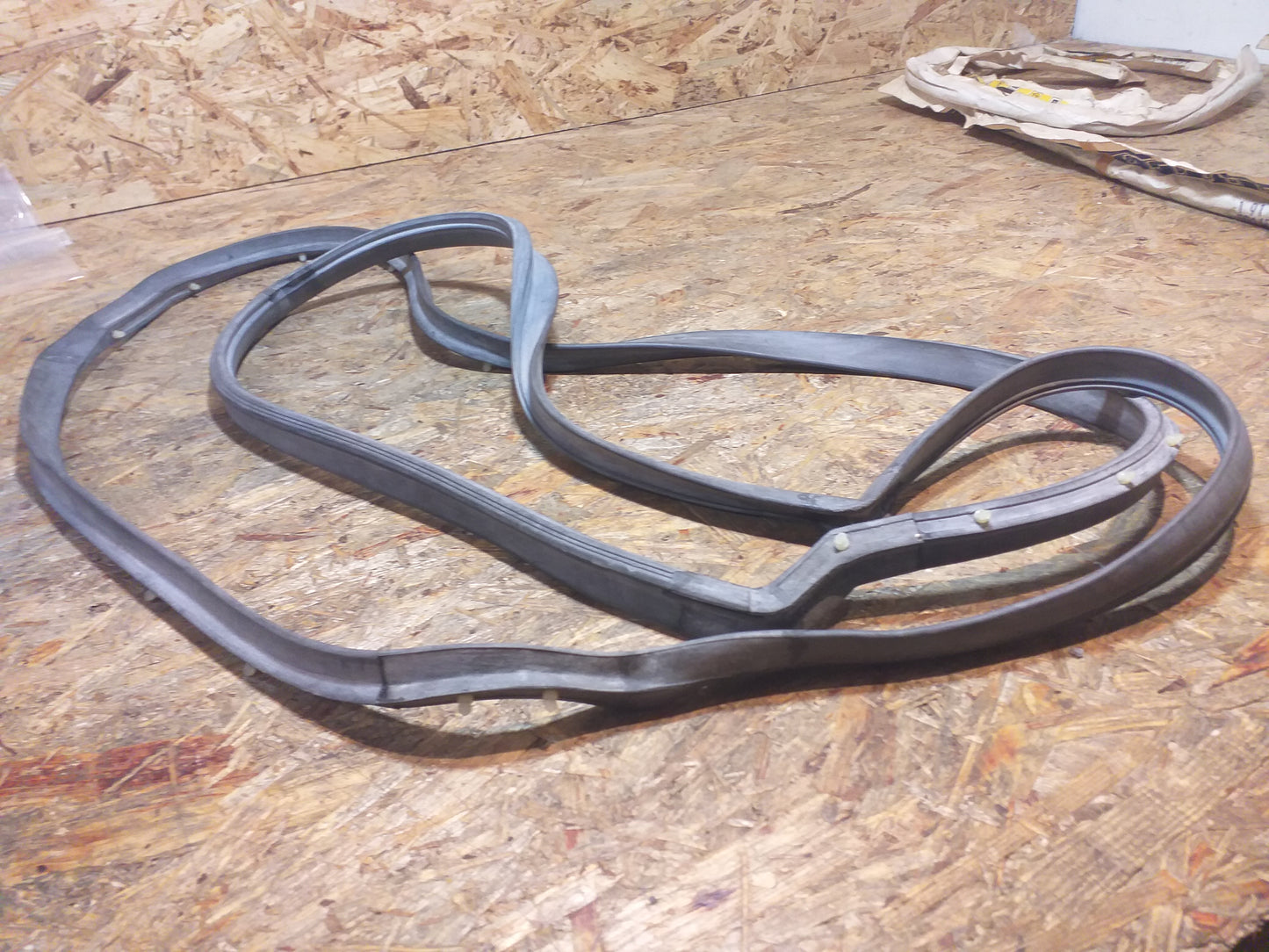 Rekord E Commodore C Gummiabdichtung rechts hinten original GM Opel NEU