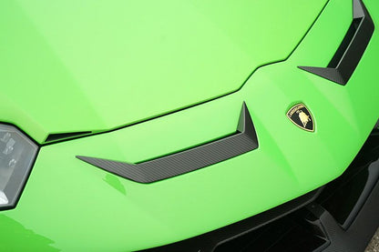 Friedrich Motorsport Frontflaps Lamborghini Aventador SVJ