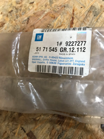 Original Opel Corsa C Schutzleiste Tür vorne links NEU