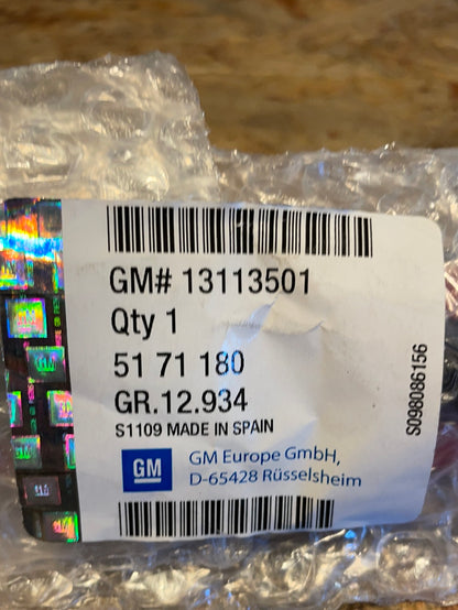 Original GM Opel Meriva A Zierleiste Tür hinten rechts Neu