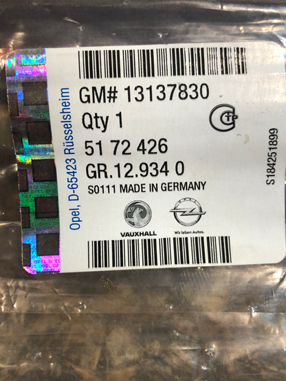 Original GM Opel Zafira B Zierleiste Türe hinten rechts Neu
