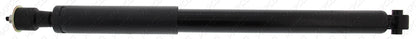 MAPCO Stoßdämpfer Hinterachse  40851